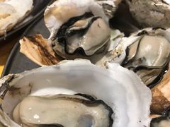 清烧生蚝-蚝专家(北滘店)