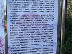 -三义宫