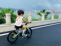-芒洲湿地公园