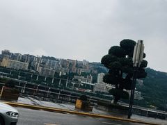 -老宋家鱼馆(北滨路店)