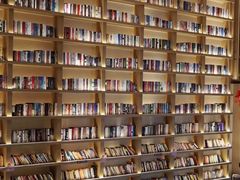 -深影国际影城(学院南路店CGS中国巨幕店)