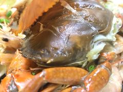 -罗记家常菜(鸿景花园店)