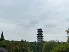 -宜兴龙背山森林公园