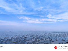 -南汇新城海滩