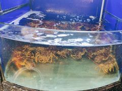 -台鄉缘 ·小海鲜·台州菜(桃林路店)