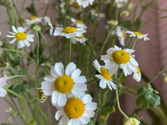 -宏利土菜馆(马山店)