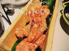-梧桐