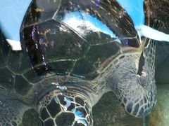 -鸿通城购物中心