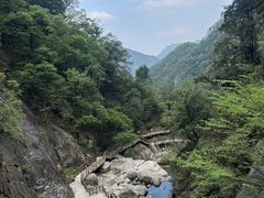 -洛阳白云山景区