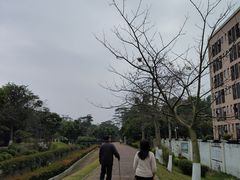 -广东金融学院(校本部)