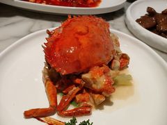 -蝶园·装修中(BFC外滩金融中心店)