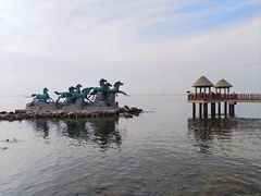 -养马岛旅游度假区