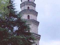 -祥源·阜阳生态乐园