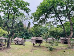 -上海野生动物园