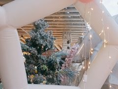 -天空花园餐吧·生日·团建(南山店)