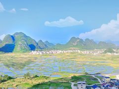 -会仙湿地