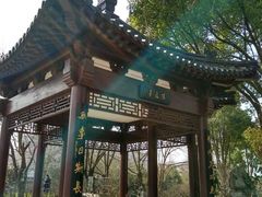 -南汇桃花村