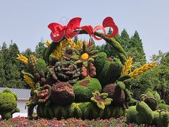 -东平国家森林公园