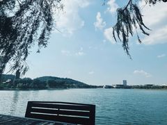 -济南国际园博园