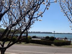 -丁香湖公园