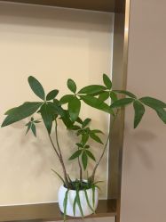 -杭州海亮医院 · 禾芸嘉医美中心