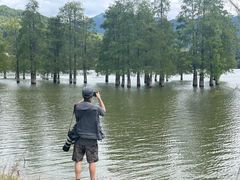 -黄山悦榕庄明月白云餐厅
