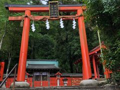 -岚山猴子公园