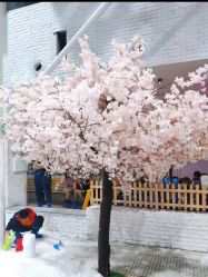 -Mr·Kuma酷么先生雪之乐园