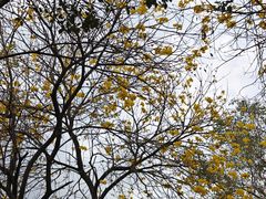 -中国移动南方基地