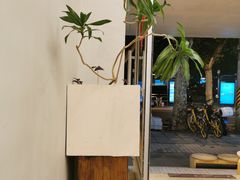-小团圆糖水铺(襄阳南路店)