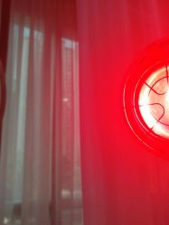 -新生植发·植养护一体