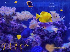 -杭州海底世界