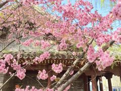 -元大都城垣遗址公园