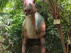 -呀路古热带植物园