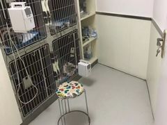 -宠颐生宠物医院·犬猫全科·皮肤科(商业街店)