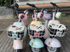 -爱玛电动车(大悦城店)