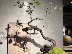 -苏州本色美术馆