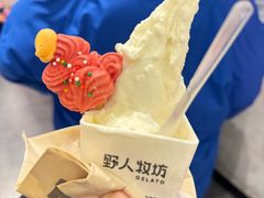 -野人牧坊Gelato(苏州中心店)