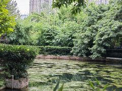 -望江楼公园