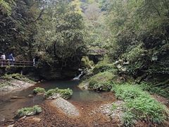 -青城山