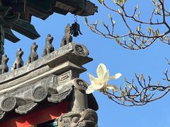 -北京艺术博物馆(万寿寺)