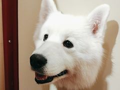 -和它·交个朋友·狗咖猫咖(爱琴海店)