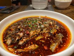 凉拌鸡-铁公鸡·四川料理(天环广场店)