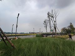 -中国天府农业博览园