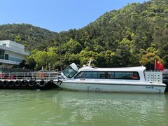 -严子陵钓台(富春江小三峡)