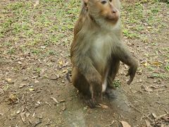 -深圳野生动物园