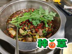 -天治宣·野椒鸡(龙头寺总店)