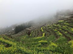 -永泰中国云顶