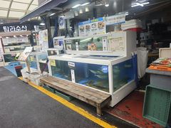 -西归浦每天偶来市场