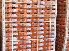 -东方鼎信农副产品交易中心